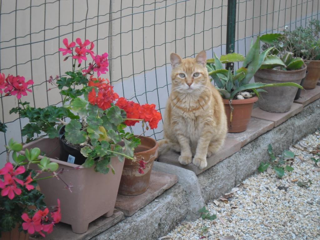Claudia * Rio Marina